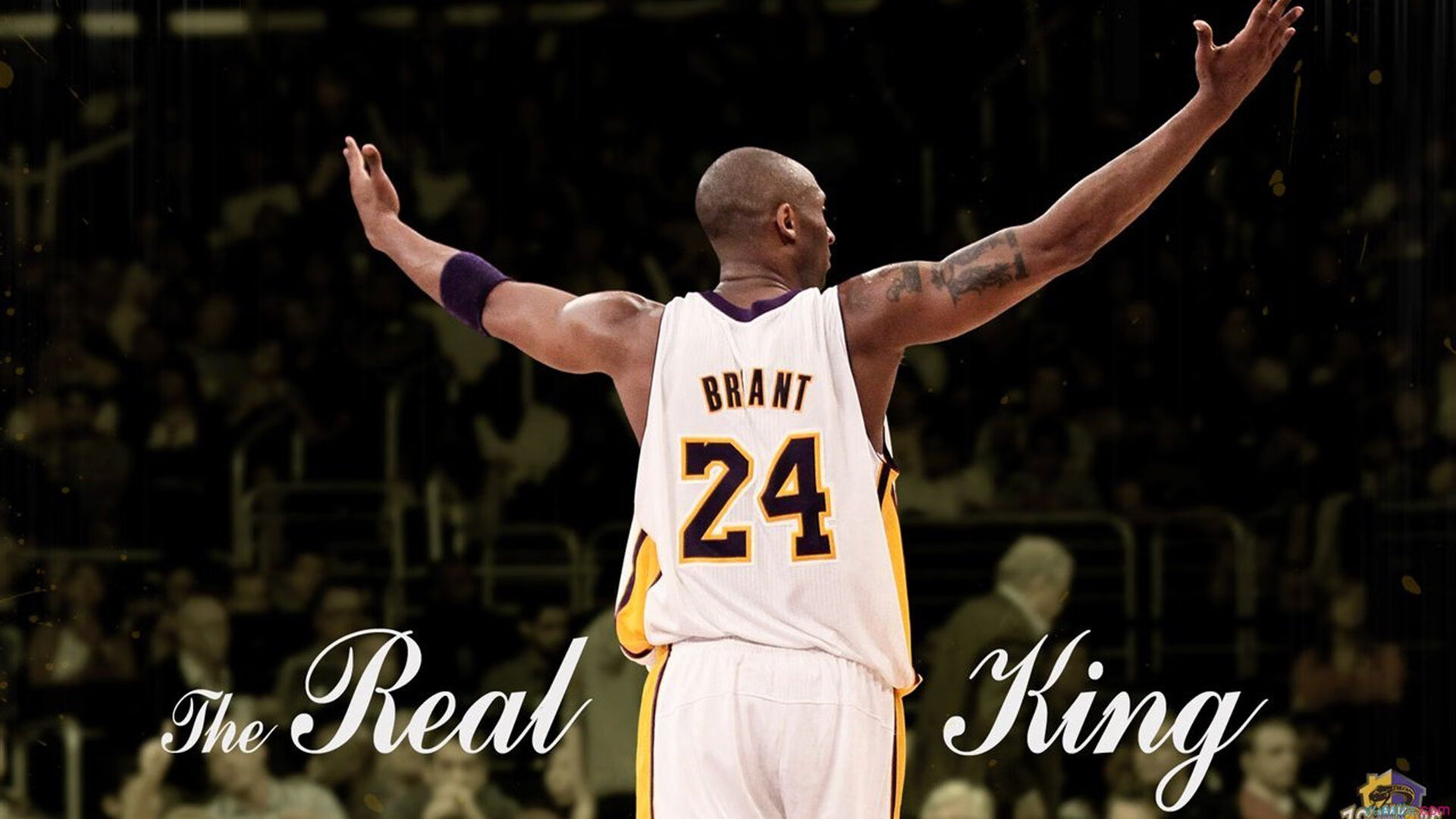 赛道与球场，F1街道赛的尼克斯式速胜哲学